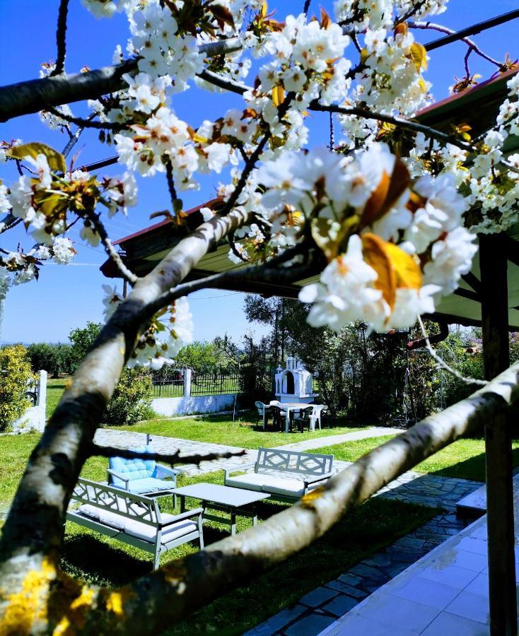 Green Vila Sozopoli Extérieur photo